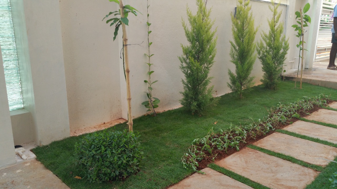 Lokish Garden